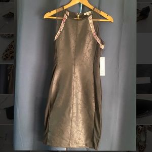 Weston XS Little Black dress w mesh and faux snakeskin detail